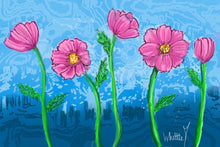 Load image into Gallery viewer, Cosmoses