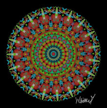 Load image into Gallery viewer, Southwestern Mandala

