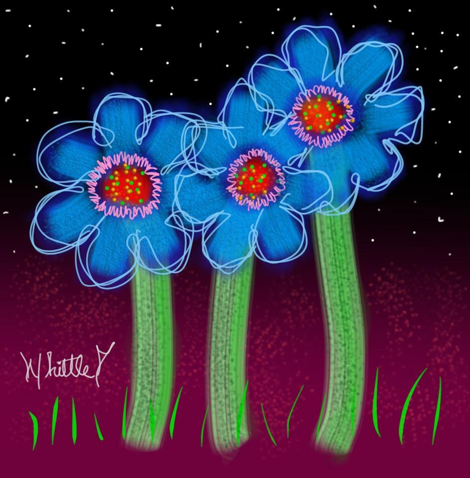Night Dance Blue Flowers